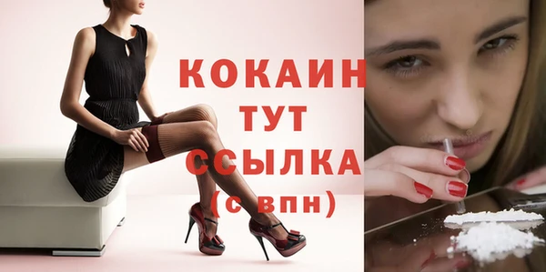 гидра Балахна