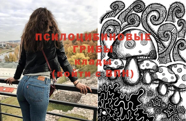 дмт Покровск