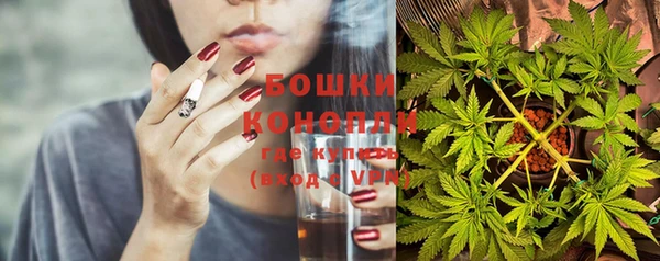 гидра Балахна