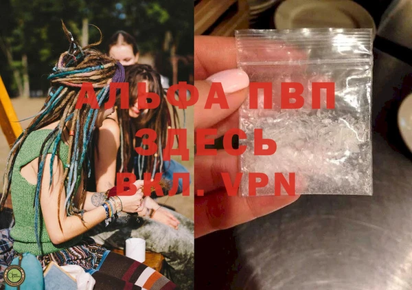 гидра Балахна